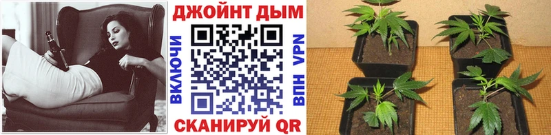 Магазин наркотиков Мариинск omg как войти Каннабис Галлюциногенные грибы МЕФ A-PVP ГАШИШ