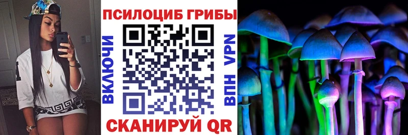 Галлюциногенные грибы Psilocybe  Мариинск 